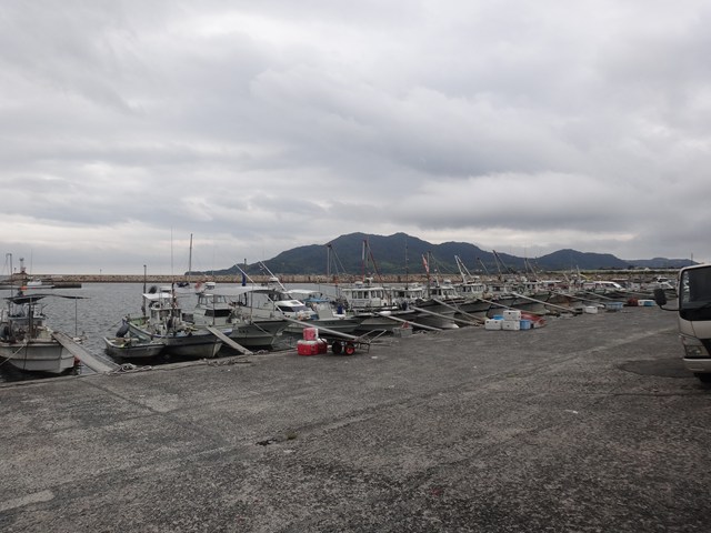 大海直売所 レビュー