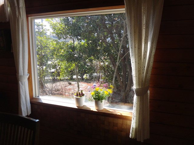 喫茶 ういるびー メニュー